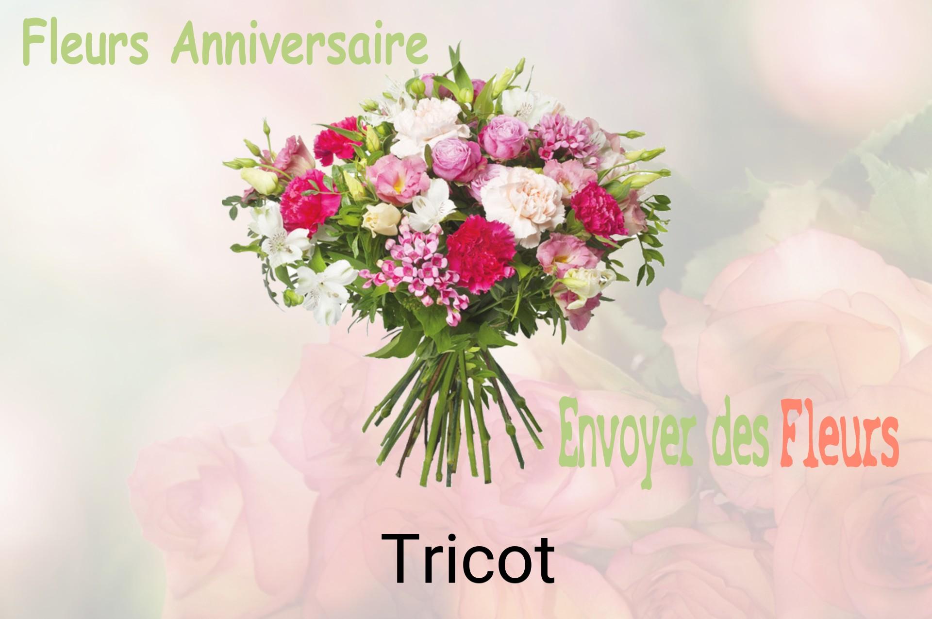 Bouquet de fleurs d’anniversaire livré à Tricot