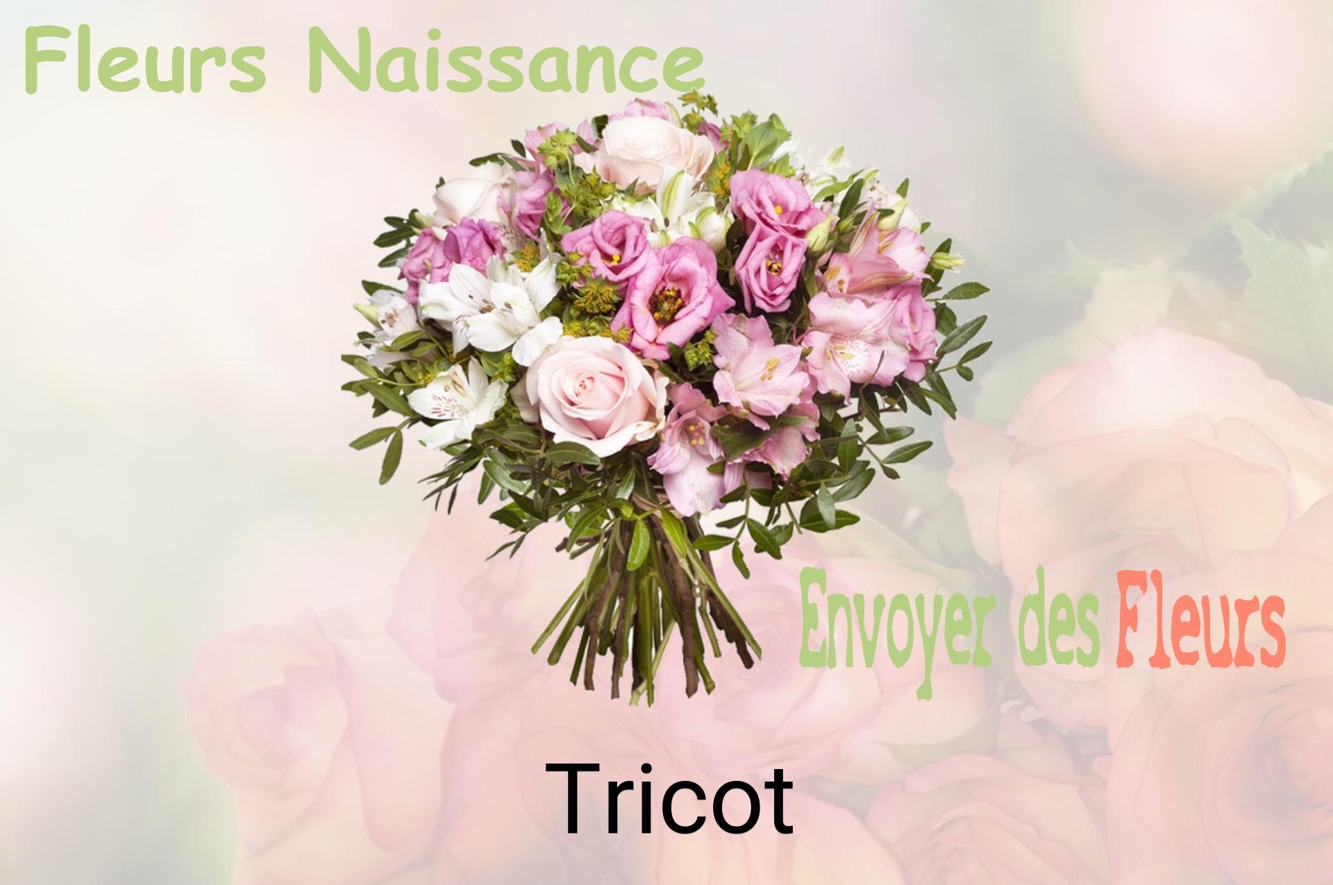Bouquet de fleurs de naissance livré à Tricot