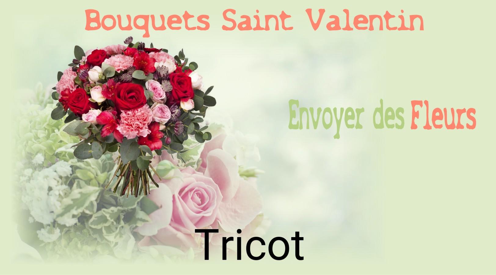 Roses de Saint-Valentin livrées à Tricot