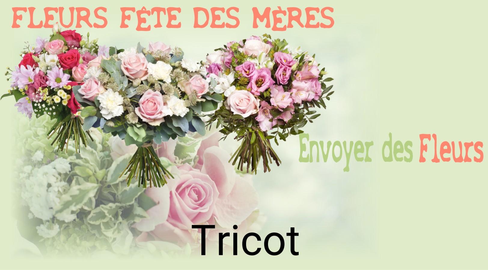 Bouquet de Fête des Mères livré à Tricot